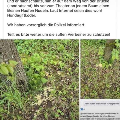 Giftköder-Giftköder-Bild