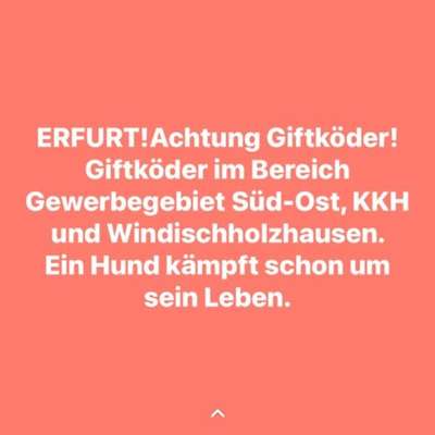Giftköder-Giftköder-Bild