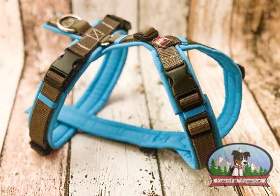 Wo lasst ihr eure Geschirre/Leinen/Halsbänder maßanfertigen?-Beitrag-Bild