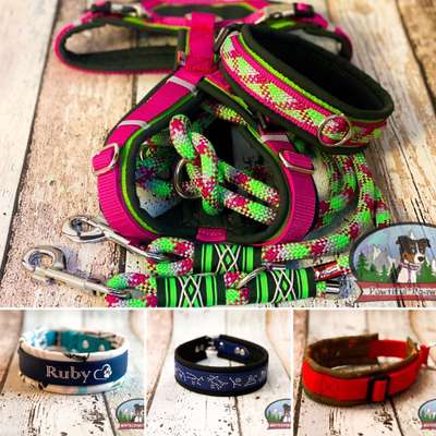 Breites, gepolstertes Halsband gesucht-Beitrag-Bild