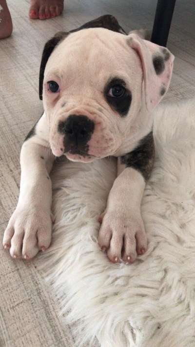 Unser Nachwuchs-Beitrag-Bild