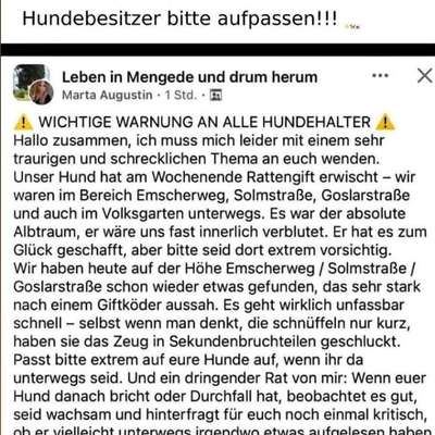 Giftköder-RATTENGIFT-Bild