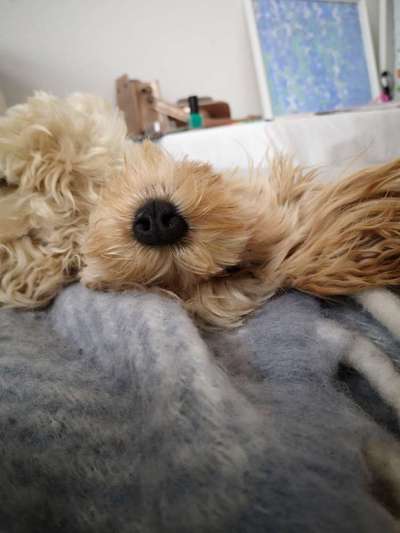 KUSCHEL PARTNER-Beitrag-Bild