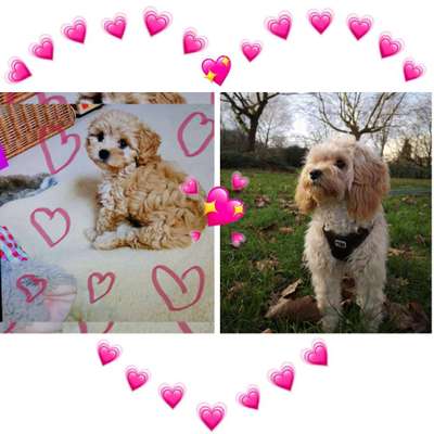 Vorher.... Nachher-Beitrag-Bild