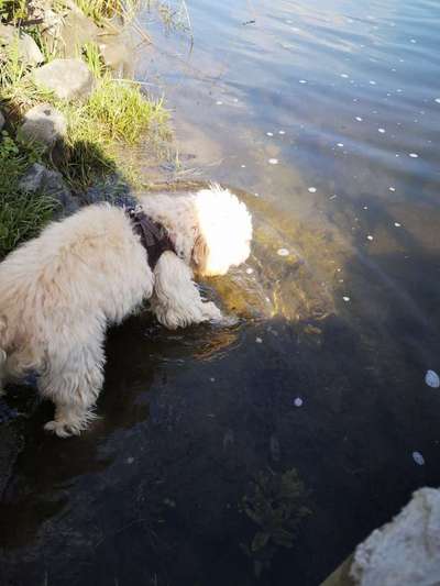 Fotochallenge 27-Beitrag-Bild