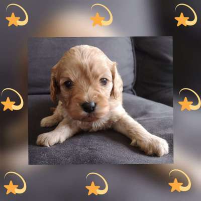 Sie werden so schnell erwachsen ...-Beitrag-Bild