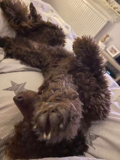 Die unbequemsten und lustigsten Schlafpositionen-Beitrag-Bild