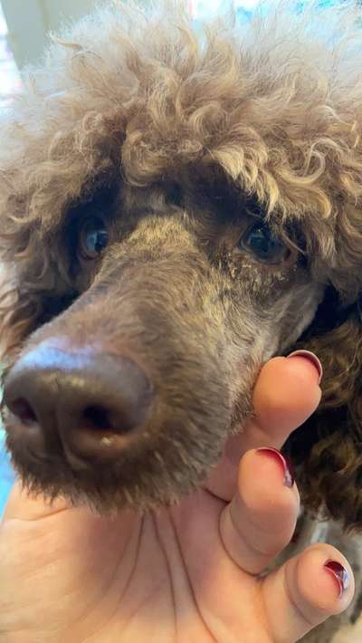 Was ist das?-Beitrag-Bild