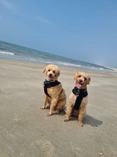 Eure Strandbilder :)-Beitrag-Bild