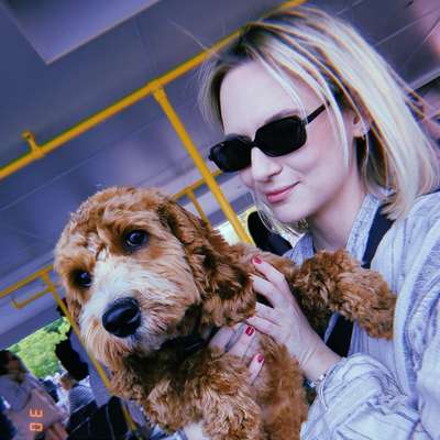 Hundetreffen-Spieltreffen Köllnische Heide