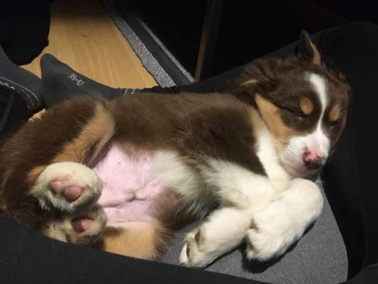 Fotochallange Nummer 5-Beitrag-Bild