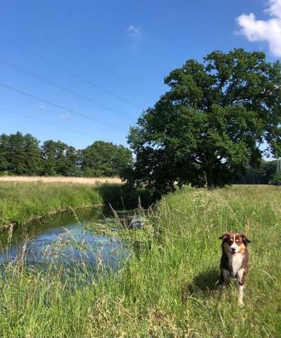 Theos Fotochallange Nummer 4-Beitrag-Bild