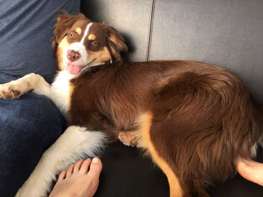 Tongue Out Tuesday-Beitrag-Bild