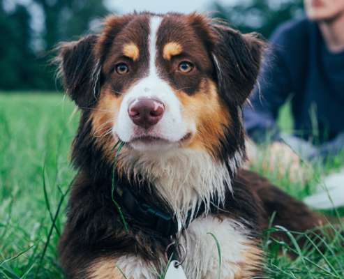 Fotochallange Nr. 57     PORTRÄT.   Beendet!!!!!!!!-Beitrag-Bild