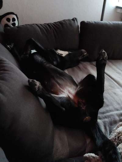 Die unbequemsten und lustigsten Schlafpositionen-Beitrag-Bild