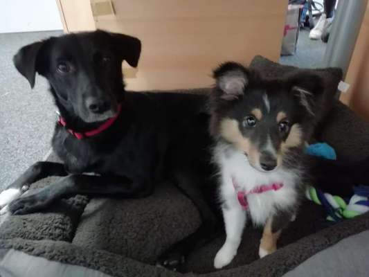 Zeigt her...-Beitrag-Bild