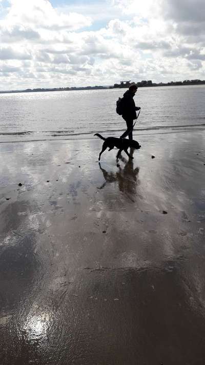 Die Dogorama Wochen Challenge: “Dein Hund im Urlaub”-Beitrag-Bild