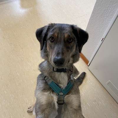 Zeigt her...-Beitrag-Bild