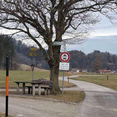 Giftköder-Eventuell Giftköder-Bild