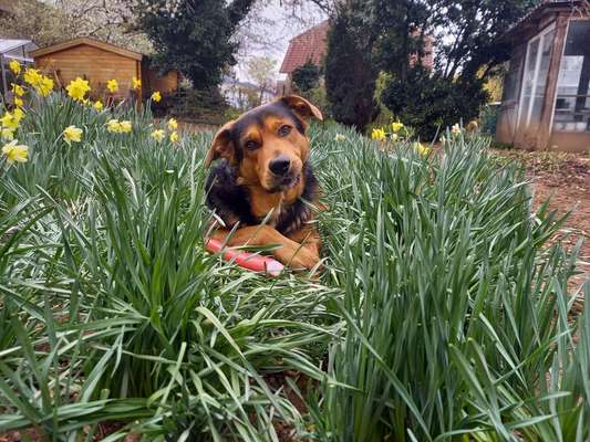 Zeigt eure Portraits-Beitrag-Bild