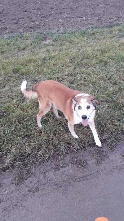 Fotochallenge Nr. 56 - geliebte Senioren-Beitrag-Bild