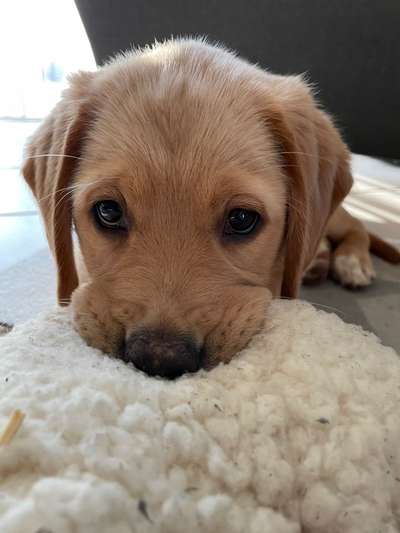 Her mit dem Grimassen-Beitrag-Bild