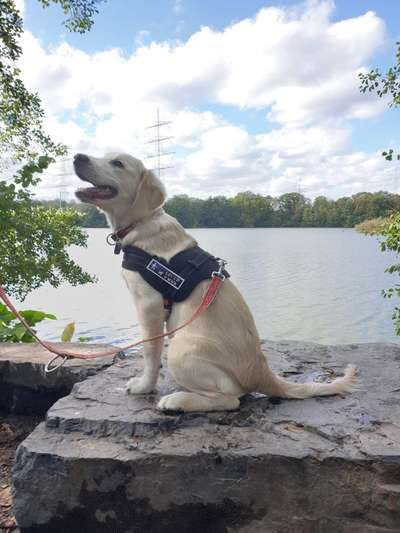 Dogorama-Monats-Challenge-Mai "Wasser"-Beitrag-Bild