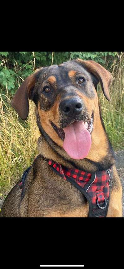 Tongue Out Tuesday-Beitrag-Bild