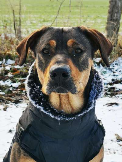 Schnee Foto-Beitrag-Bild