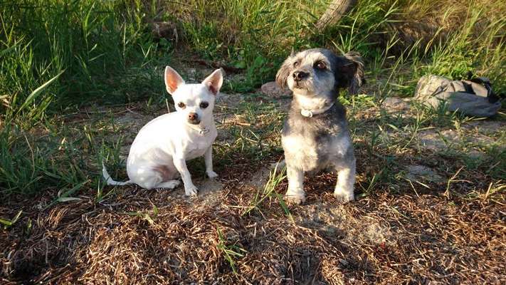 Gibt es Namens-Verwandte-Beitrag-Bild