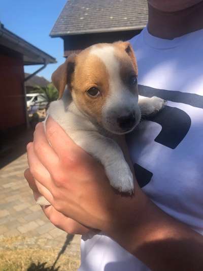 Foto Challenge 3-Beitrag-Bild