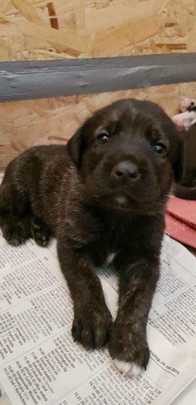 Ach, wie schnell die Zeit vergeht-Beitrag-Bild