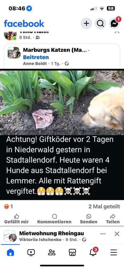 Giftköder-Vermutlich Giftköder-Bild