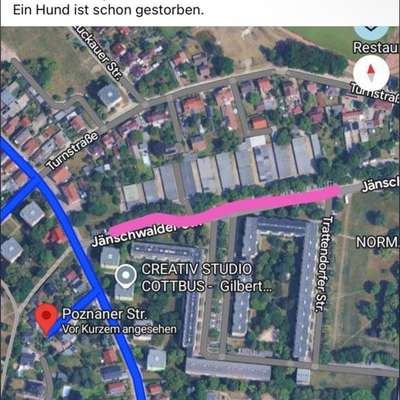 Giftköder-Giftköder-Bild