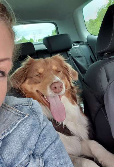 Die Dogorama Wochen Challenge-Beitrag-Bild