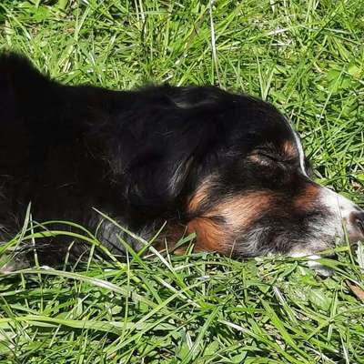 Was wird bei Euch ge..teilt ?-Beitrag-Bild