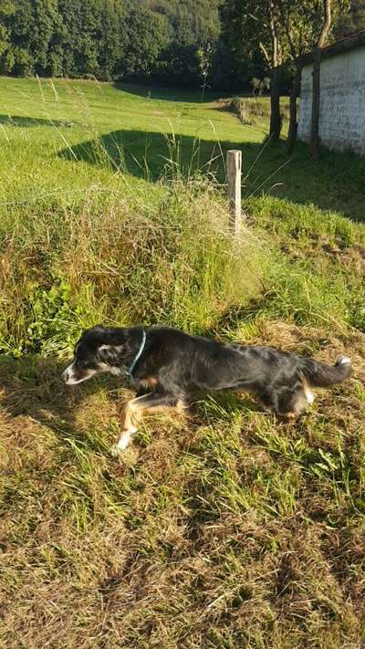 Fotochallenge Nr. 52 „Spring!“-Beitrag-Bild