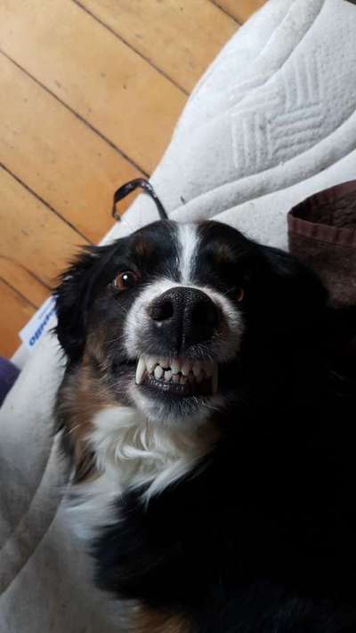 Her mit dem Grimassen-Beitrag-Bild