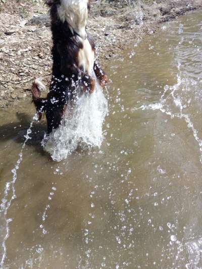 Fotochallenge Nr. 52 „Spring!“-Beitrag-Bild