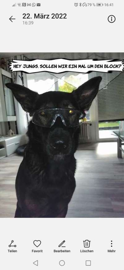 Hier ist der Spaßthread. Zum Schmunzeln und Kaputtlachen-Beitrag-Bild