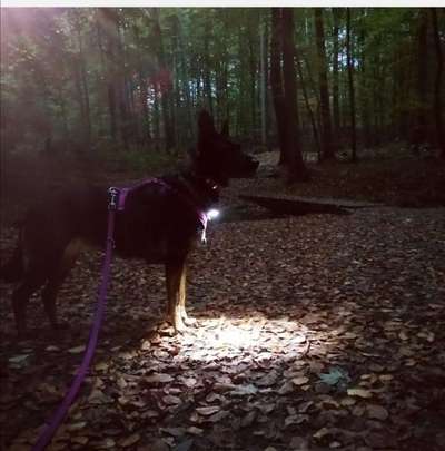 Sicherheit im Dunkel-Beitrag-Bild