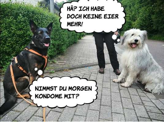 Hier ist der Spaßthread. Zum Schmunzeln und Kaputtlachen-Beitrag-Bild