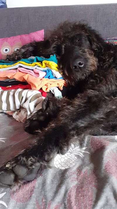 Fotochallange 84-Beitrag-Bild