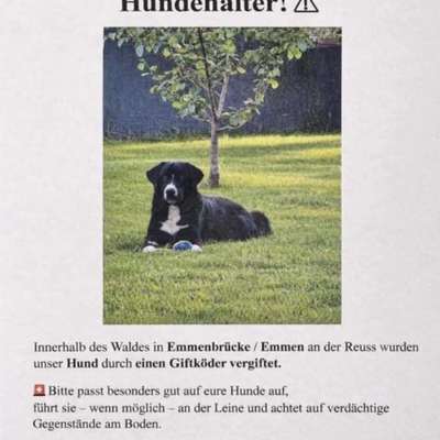 Giftköder-Giftköder-Bild