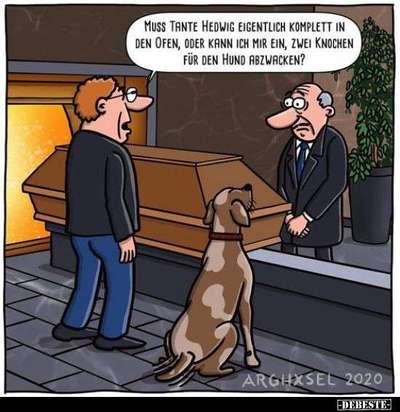 Hunde Memes-Beitrag-Bild