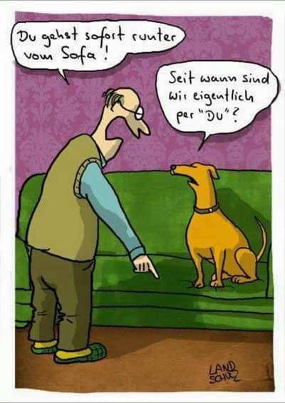 Hunde Memes-Beitrag-Bild