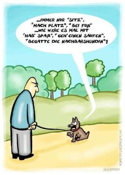 Hunde Memes-Beitrag-Bild