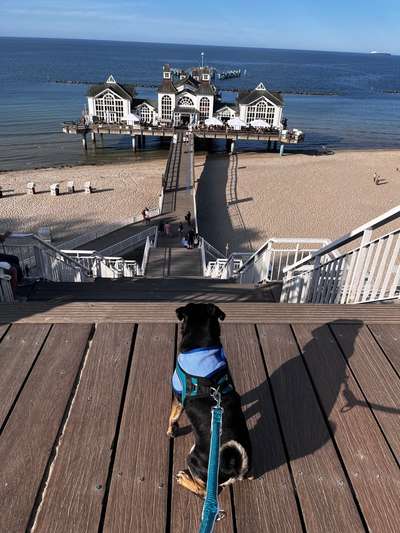 Foto Challenge Thema "Brücke"-Beitrag-Bild