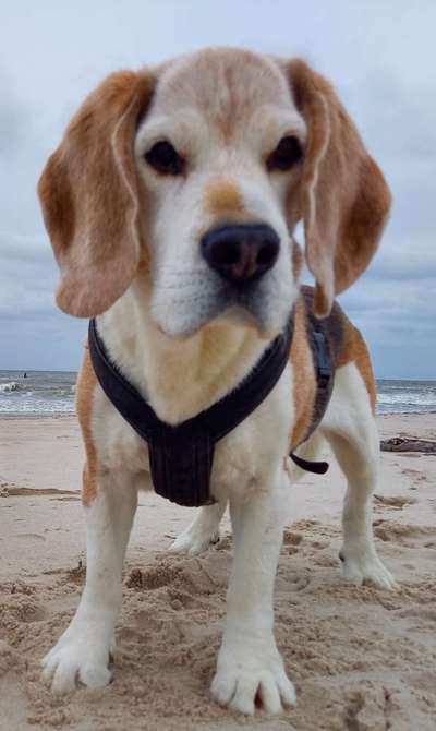 Fotochallenge Nr. 56 - geliebte Senioren-Beitrag-Bild