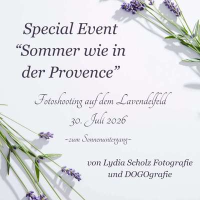 %{de_profession_title}-Lavendel Special-Bild